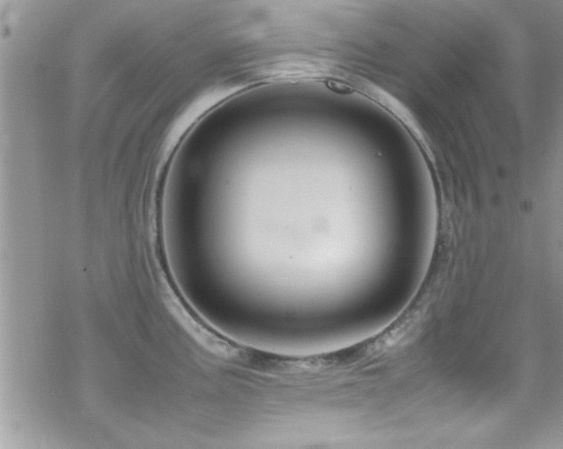 X0000070411195200606091143