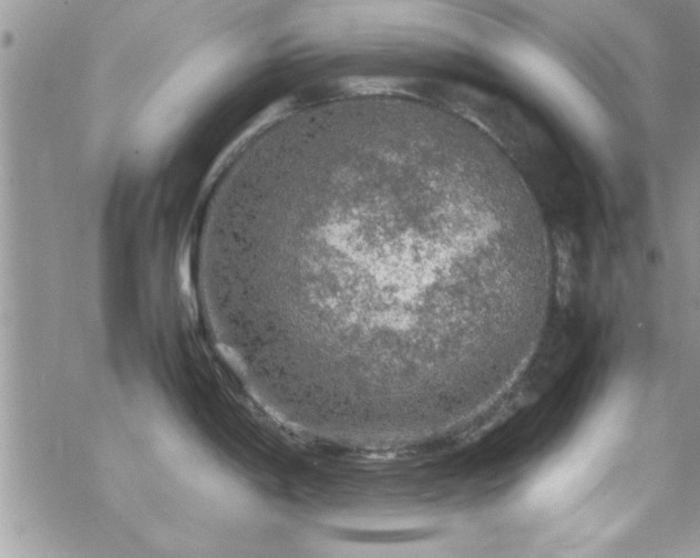 X0000070411198200606091143