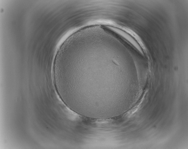 X0000070411199200606091143