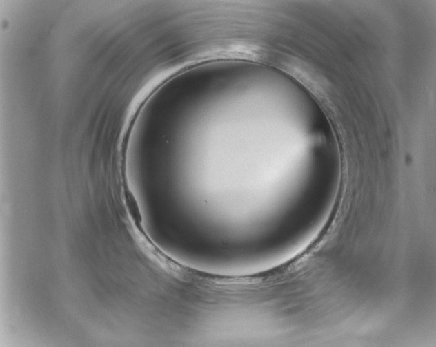 X0000070411200200606091143