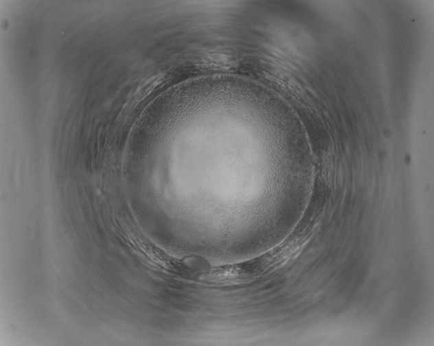 X0000070411201200606091142