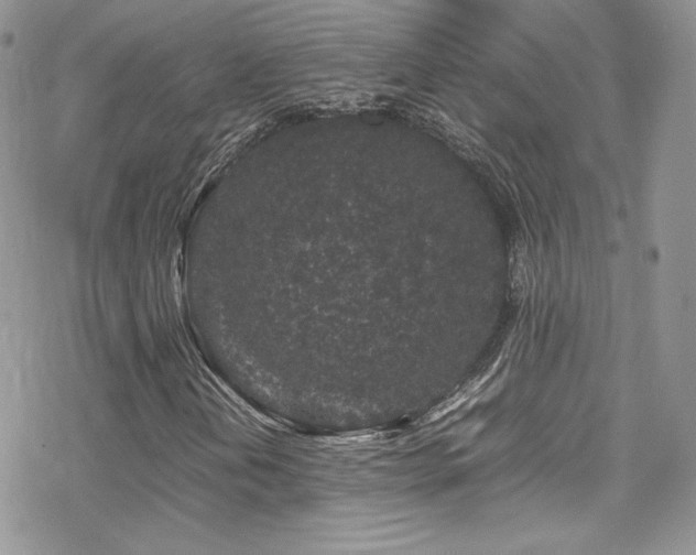 X0000070411202200606091142