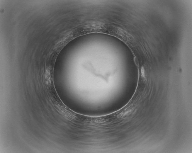 X0000070411203200606091142