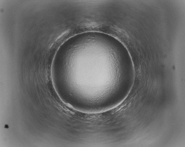 X0000070411205200606091142