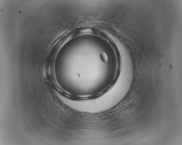 X0000070411206200606091142