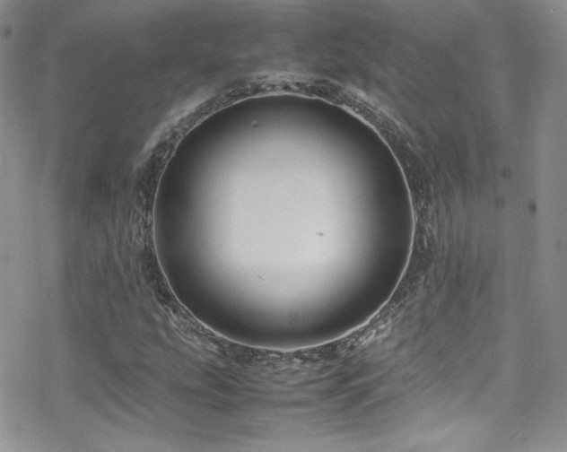 X0000070411207200606091142