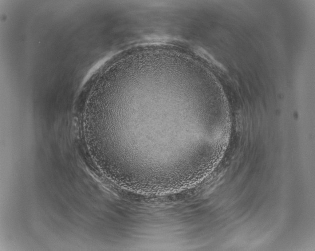 X0000070411208200606091142