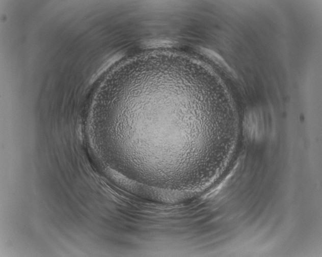 X0000070411209200606091143