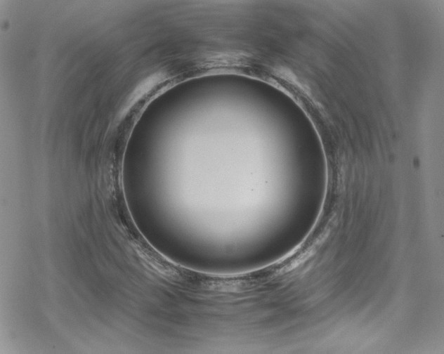 X0000070411211200606091143