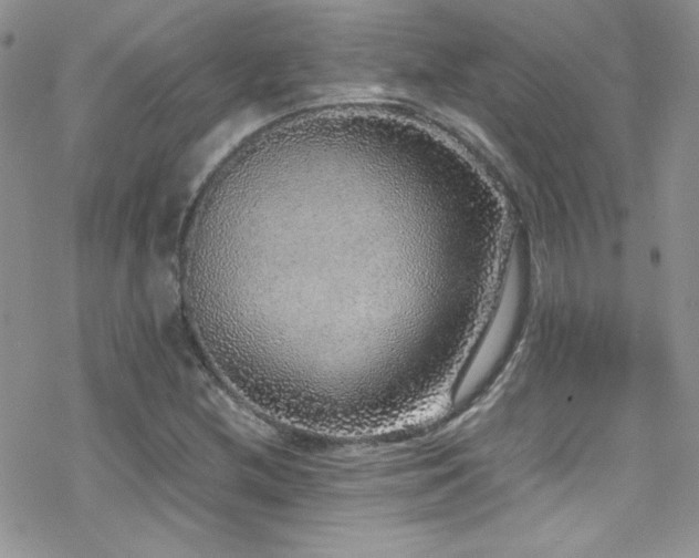 X0000070411212200606091143