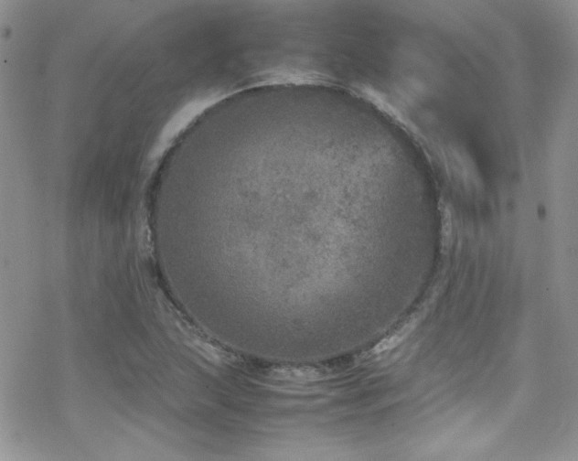 X0000070411215200606091143