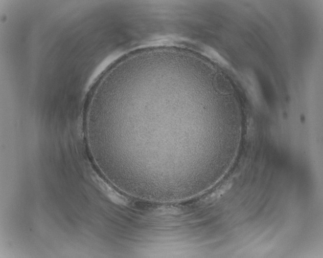 X0000070411216200606091143