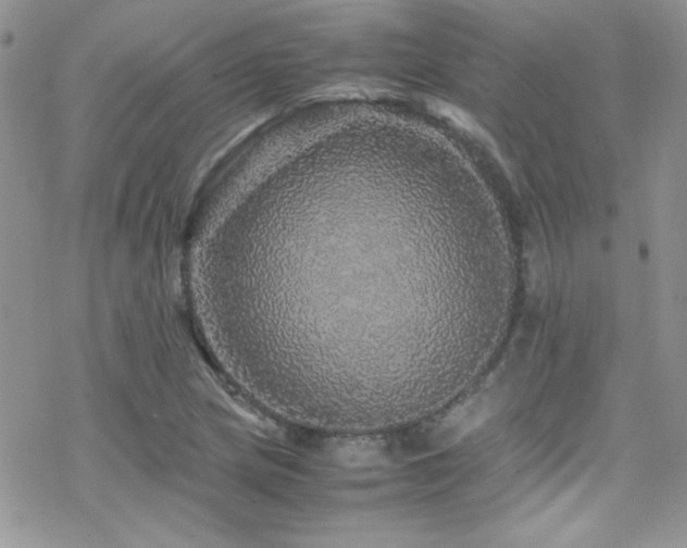 X0000070411217200606091143