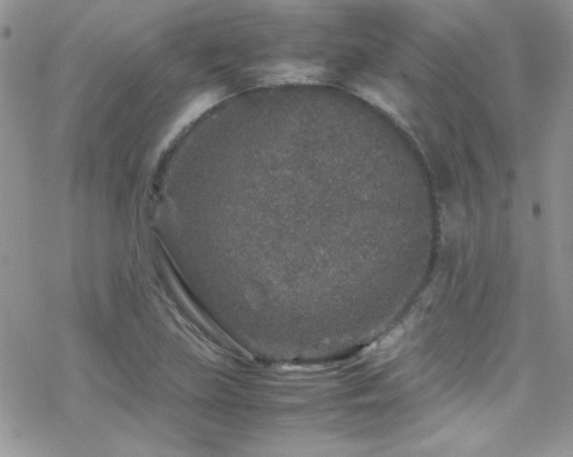 X0000070411219200606091143