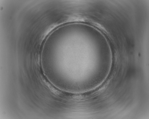 X0000070411220200606091143