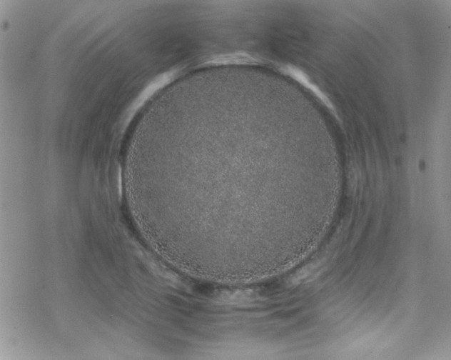 X0000070411221200606091143