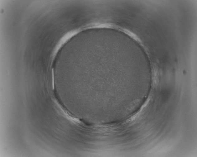 X0000070411223200606091143