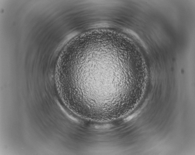 X0000070411225200606091143