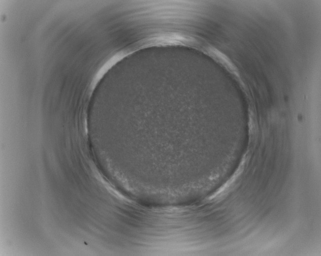 X0000070411226200606091143