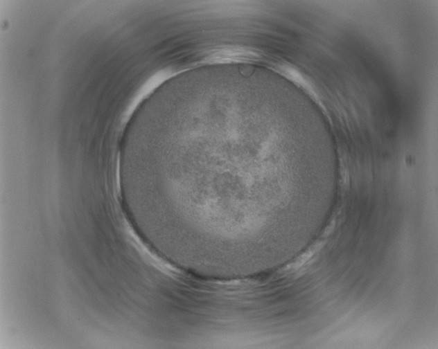 X0000070411227200606091143