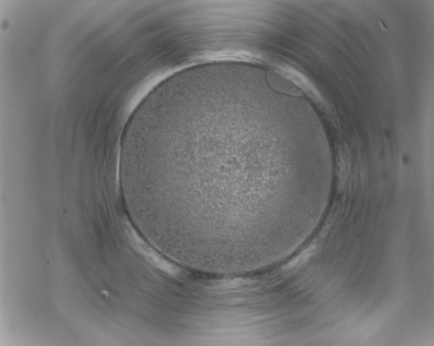 X0000070411228200606091143