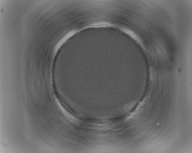 X0000070411229200606091143