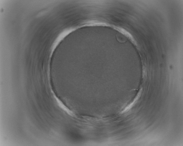 X0000070411231200606091143