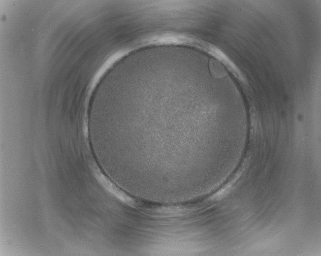 X0000070411232200606091143