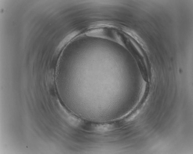 X0000070411233200606091143