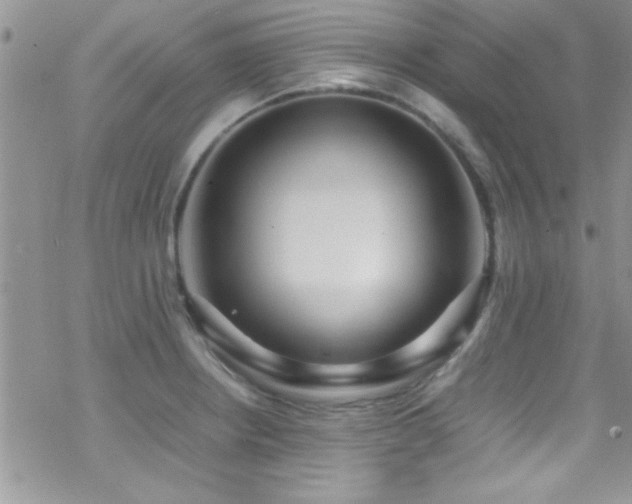 X0000070411234200606091143