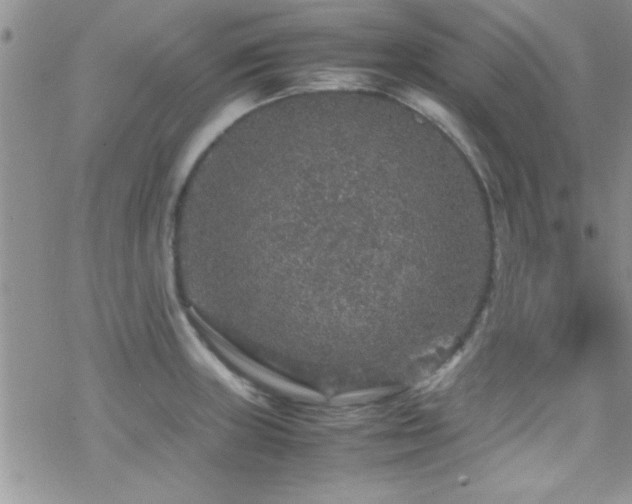 X0000070411235200606091143