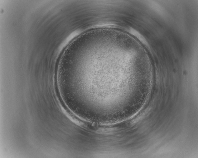 X0000070411237200606091143