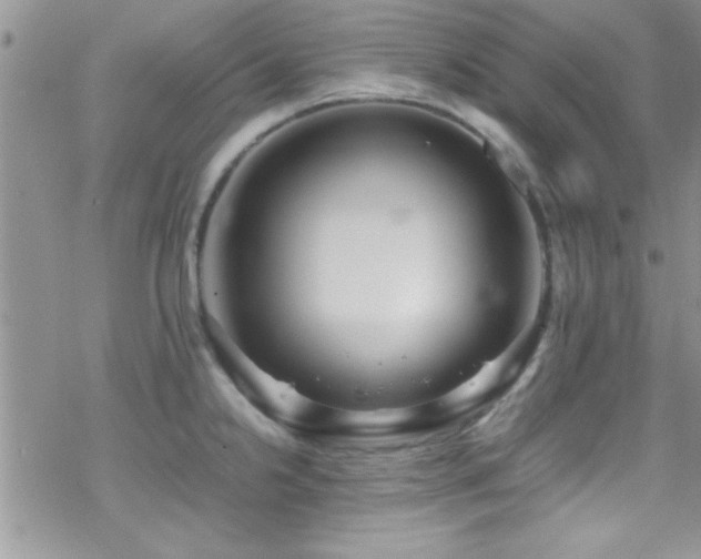 X0000070411238200606091143