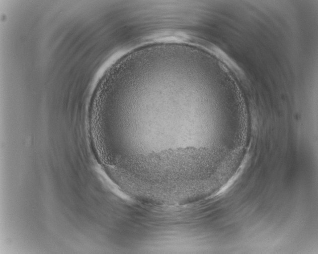 X0000070411240200606091143