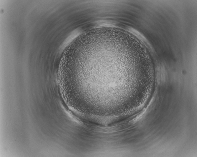 X0000070411241200606091143