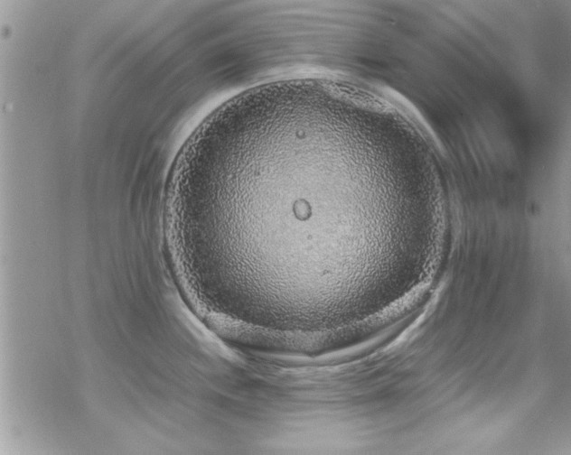 X0000070411244200606091143