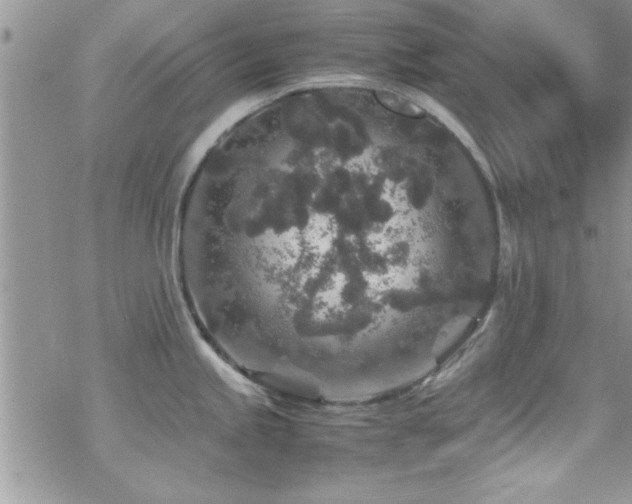 X0000070411245200606091143