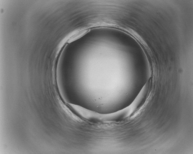 X0000070411246200606091143