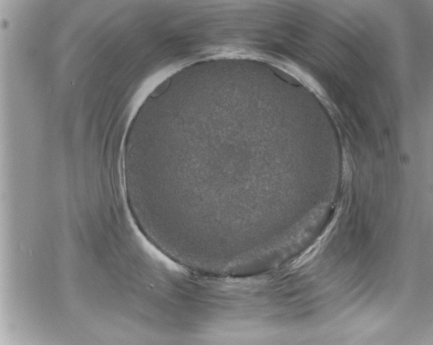 X0000070411247200606091143