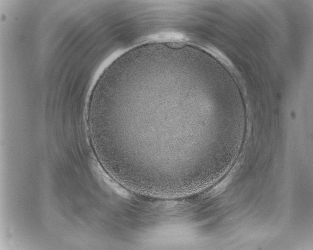 X0000070411248200606091143