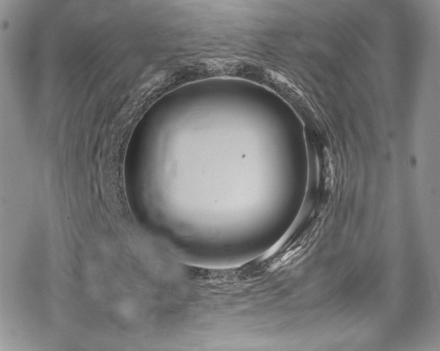 X0000070411249200606091142