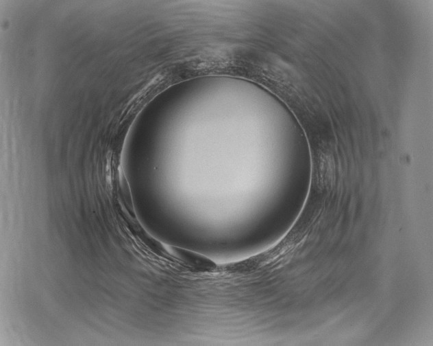 X0000070411250200606091142