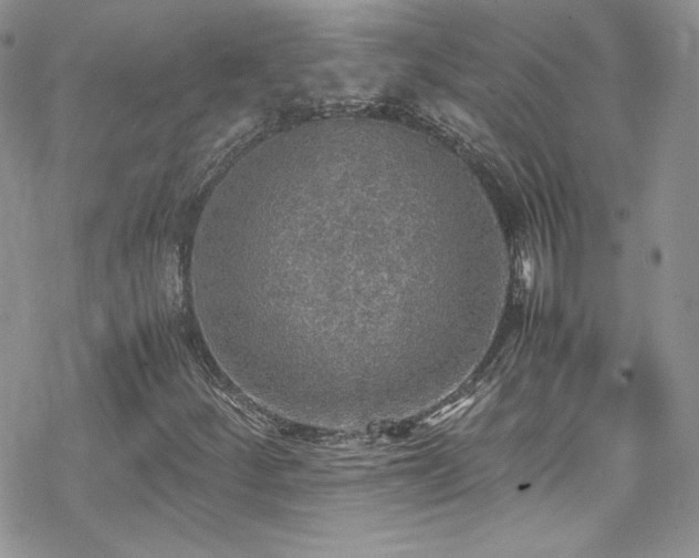 X0000070411252200606091142