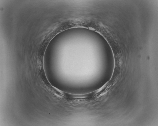 X0000070411253200606091142