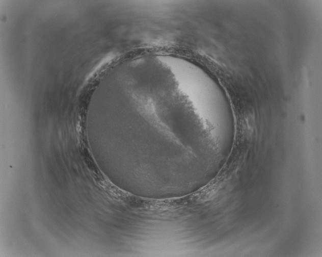 X0000070411254200606091142