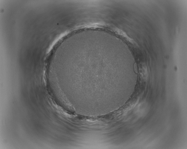 X0000070411256200606091142