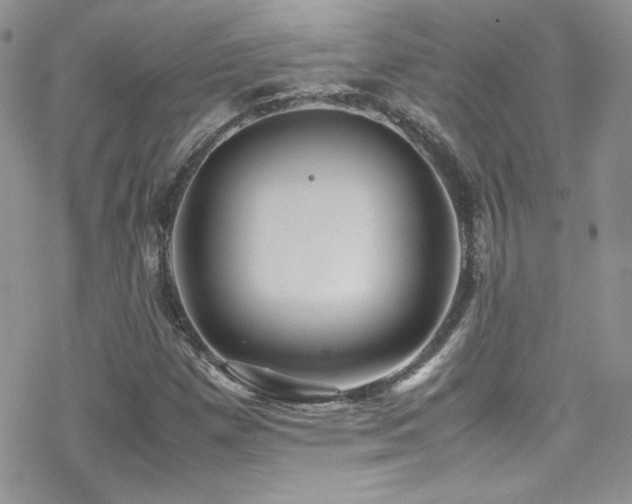 X0000070411257200606091142