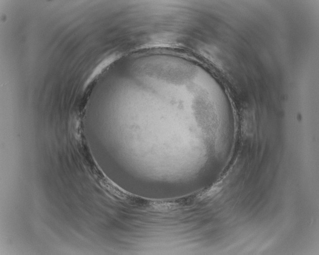 X0000070411258200606091142