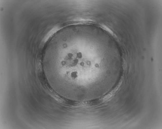 X0000070411259200606091142