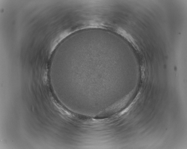 X0000070411260200606091142